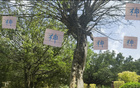 申花俄帥指揮神，換五人皆進(jìn)球。
