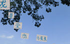 蔣內(nèi)傷，大連賽，馬艾誰得機(jī)？