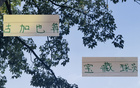 蔣內(nèi)傷，大連賽，馬艾誰得機？