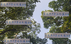 申花米內(nèi)羅職場(chǎng)專業(yè)，假期仍訓(xùn)練，加班發(fā)圈感。