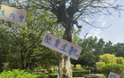 米內羅金靴，申花奪冠，范志毅95年輝煌再現。