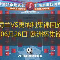 06月26日歐洲杯小組賽D組第3輪荷蘭vs奧地利進球視頻