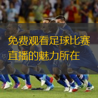 免費(fèi)觀看足球比賽直播的魅力所在