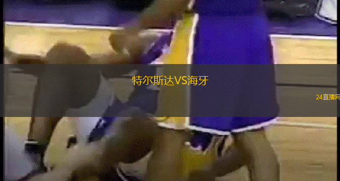 特爾斯達(dá)VS海牙
